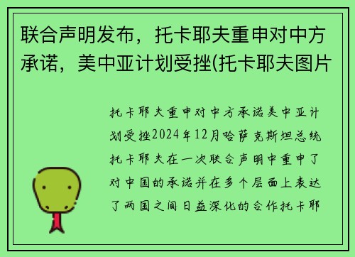 联合声明发布，托卡耶夫重申对中方承诺，美中亚计划受挫(托卡耶夫图片)