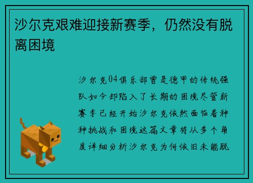 沙尔克艰难迎接新赛季，仍然没有脱离困境