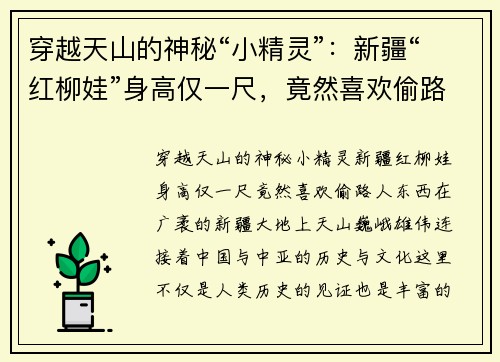 穿越天山的神秘“小精灵”：新疆“红柳娃”身高仅一尺，竟然喜欢偷路人东西