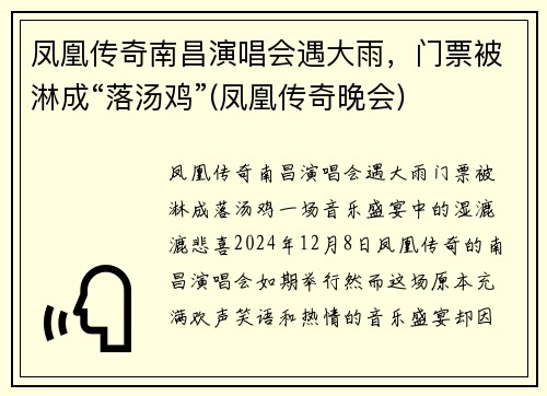 凤凰传奇南昌演唱会遇大雨，门票被淋成“落汤鸡”(凤凰传奇晚会)